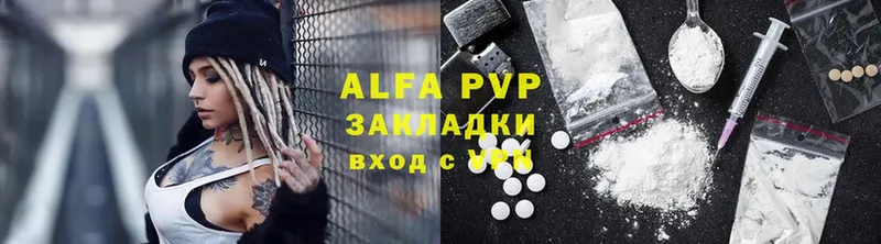 A-PVP СК КРИС  Порхов 